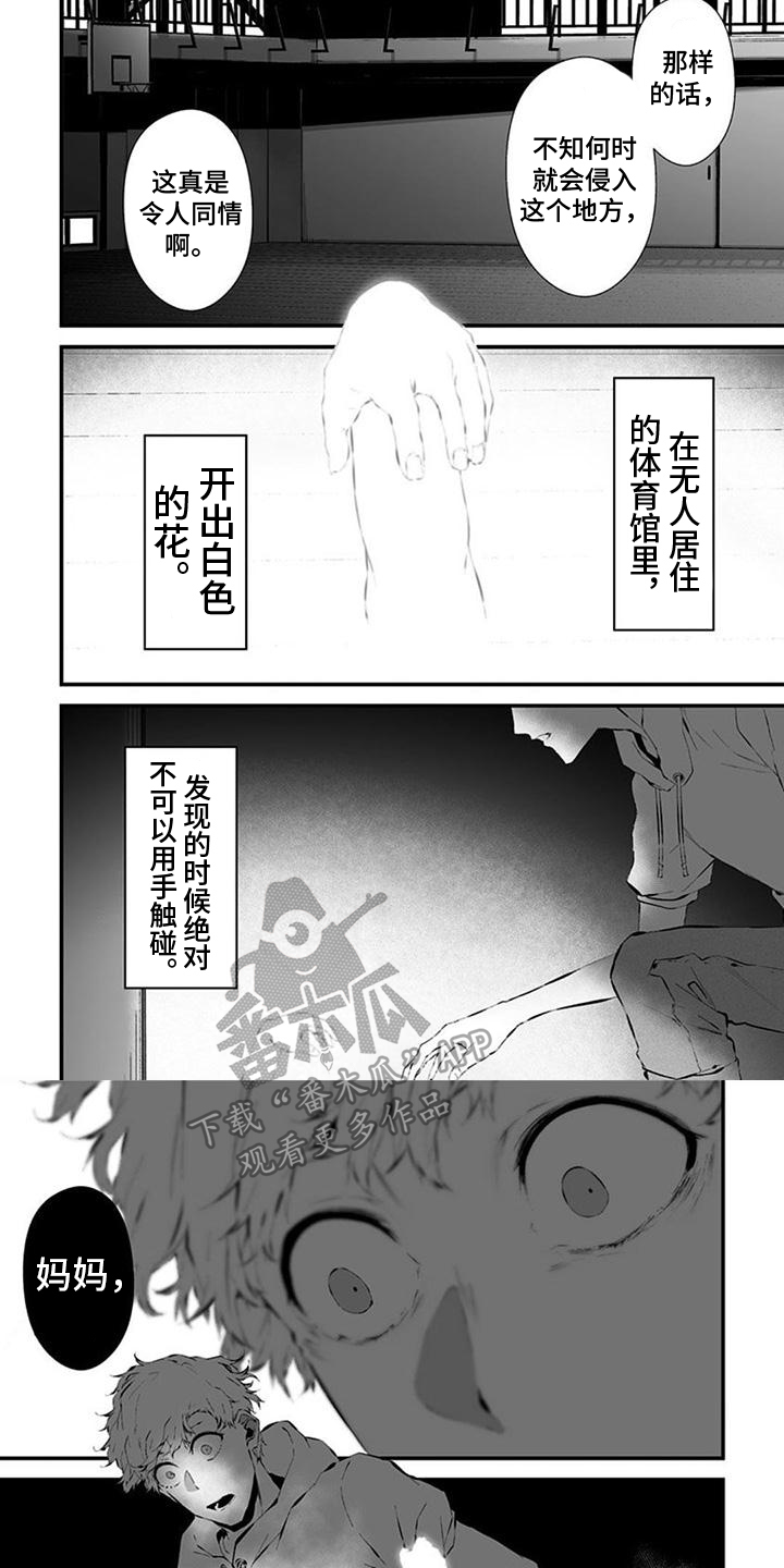 第29章：抓住5