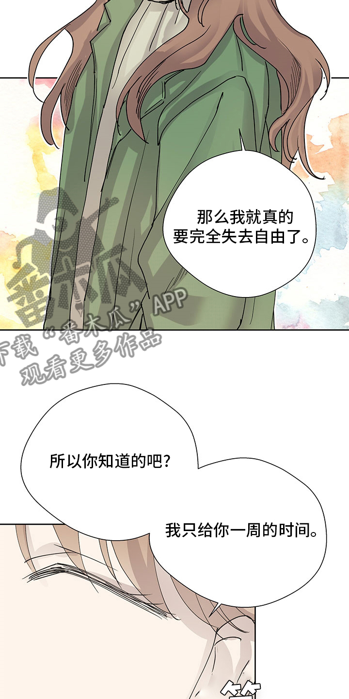 第64章：决定17