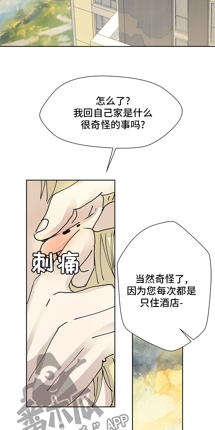 第65章：调查19