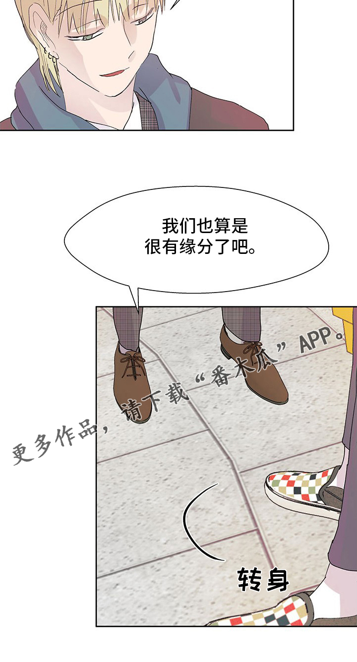 第91章：缘分19
