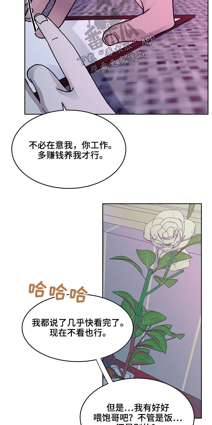 第127章：决定17