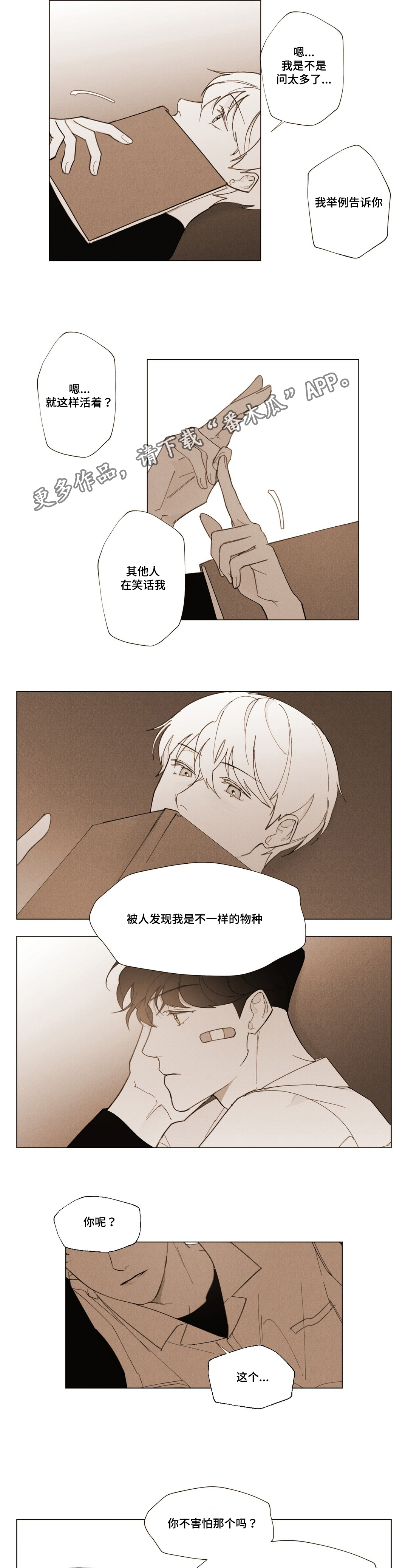 第13章：牵手11