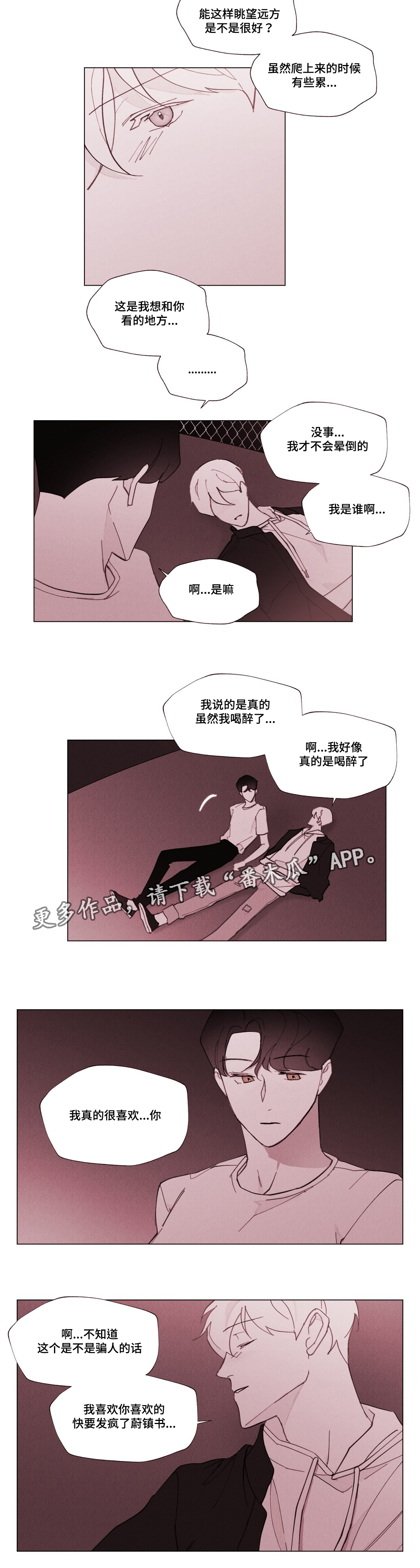第28章：终于来了11