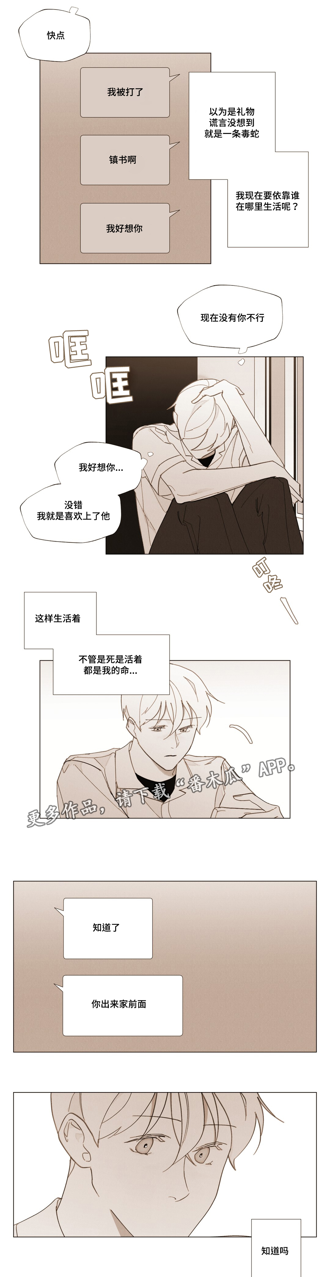 第26章：浪漫的颜色13