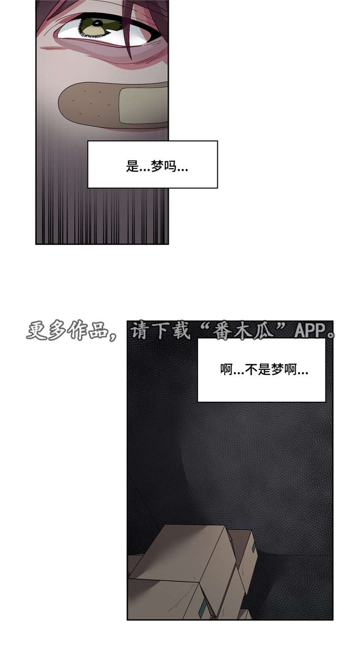 第25章：不是梦啊2