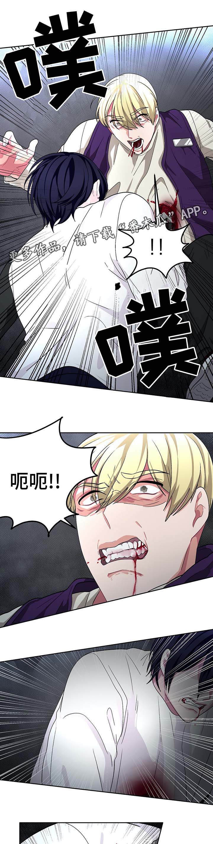 第61章：自相残杀8