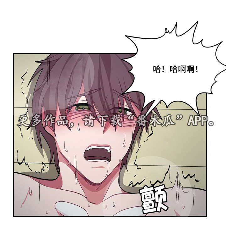第29章：最好吃的5