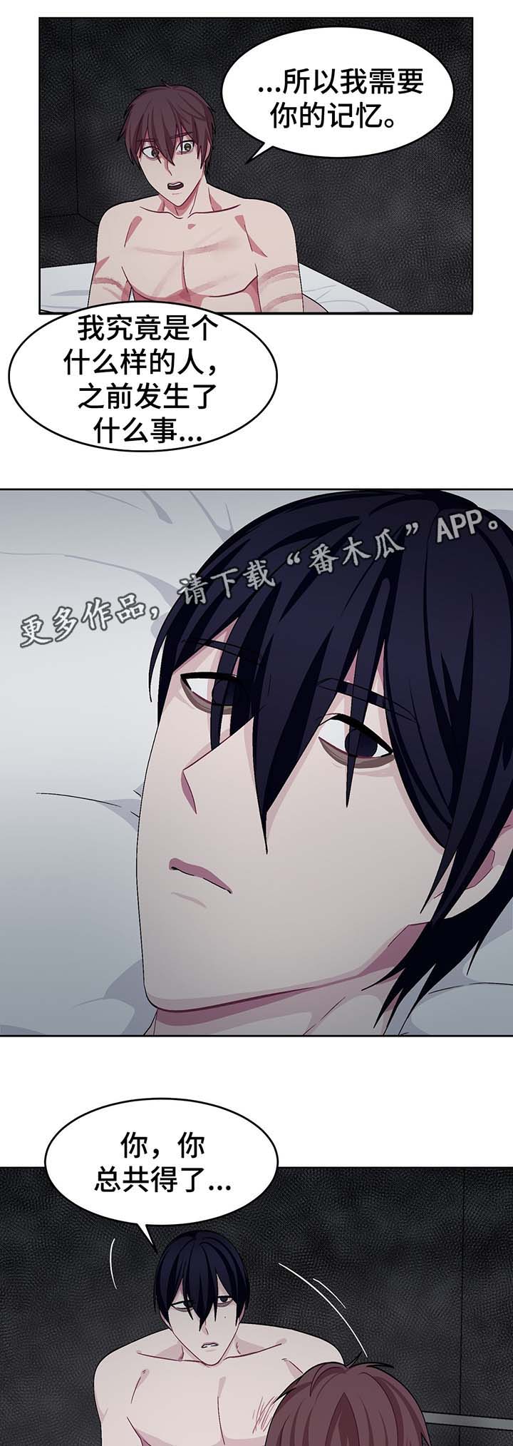 第53章：两次失忆症12