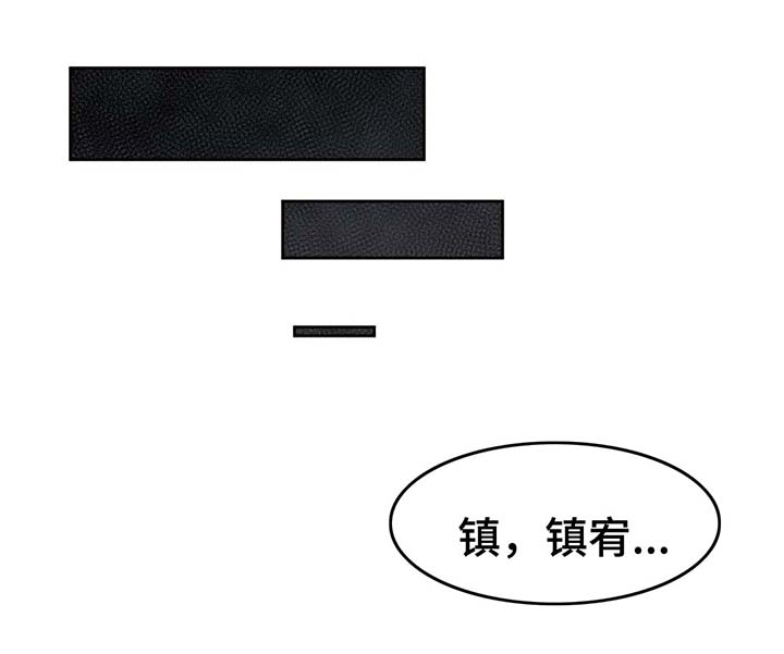 第53章：两次失忆症4