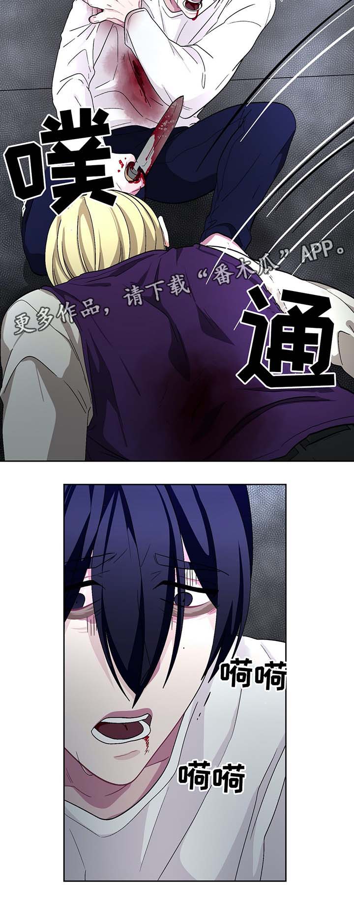 第61章：自相残杀11
