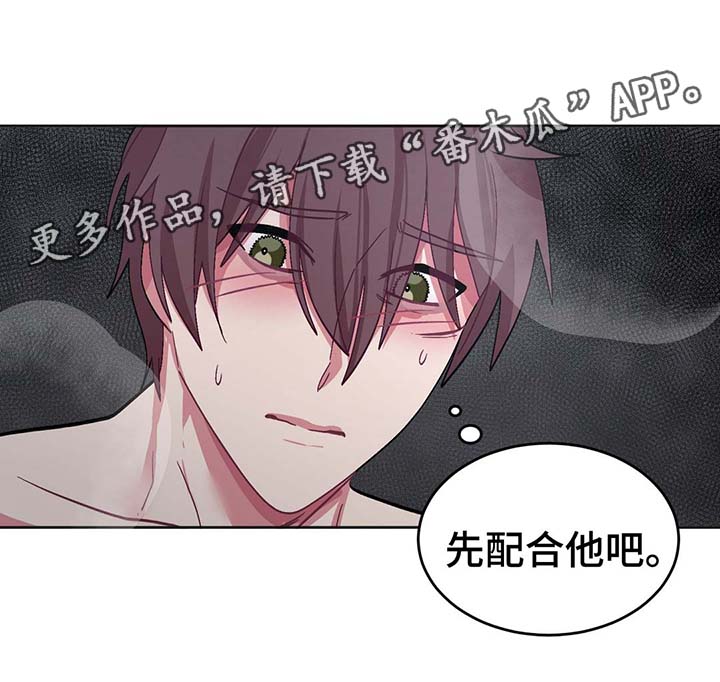 第30章：战略配合11