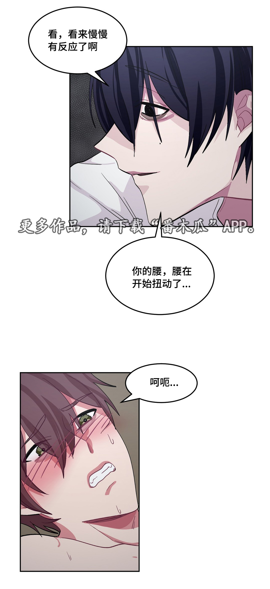 第29章：最好吃的8