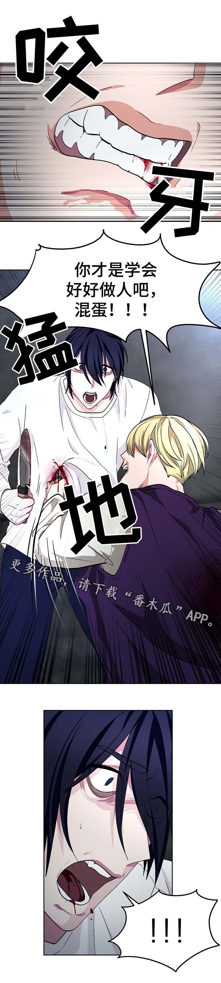 第61章：自相残杀5