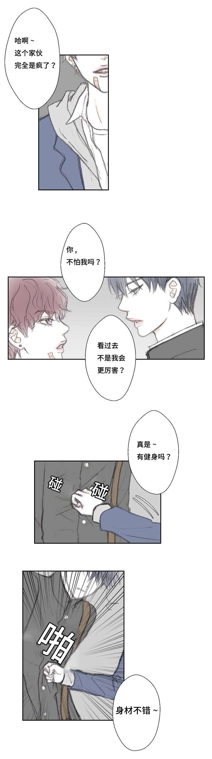 第1章：意外发现13