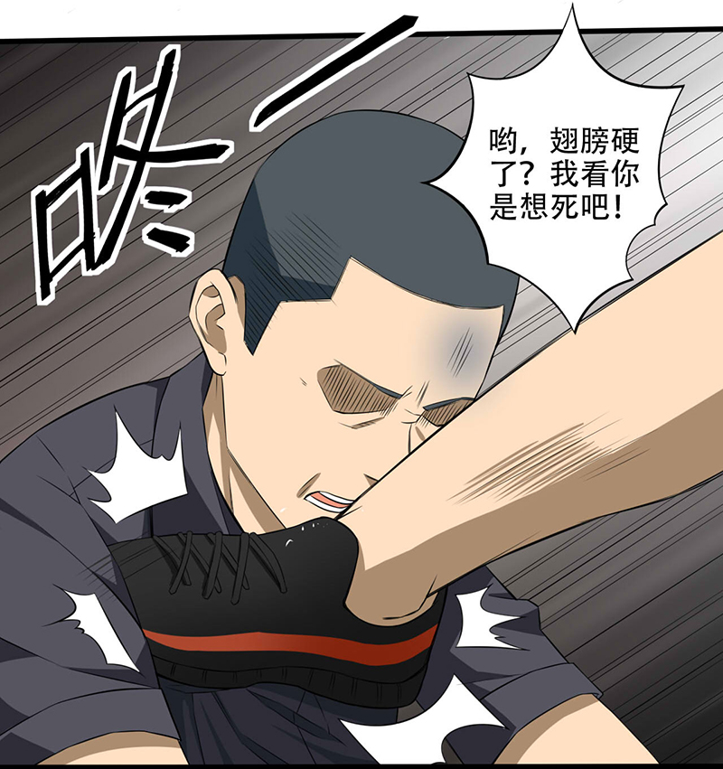 第4章： 调查小组（上）27