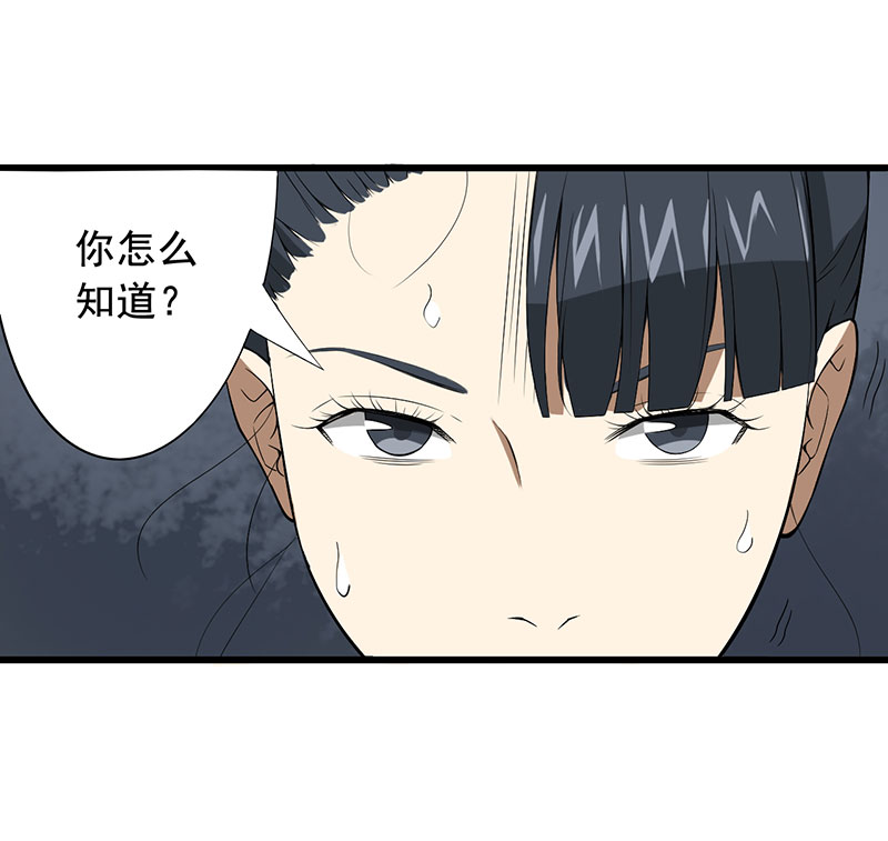 第25章：攻心之战（上）41