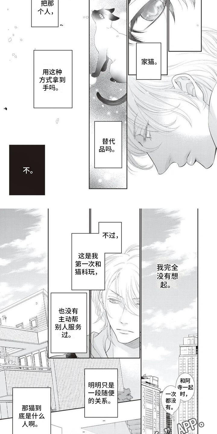 第4章：在意5