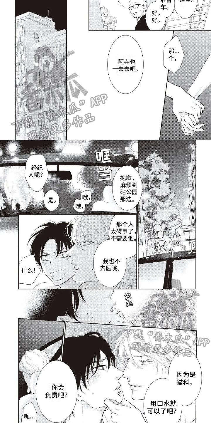 第19章：治疗4