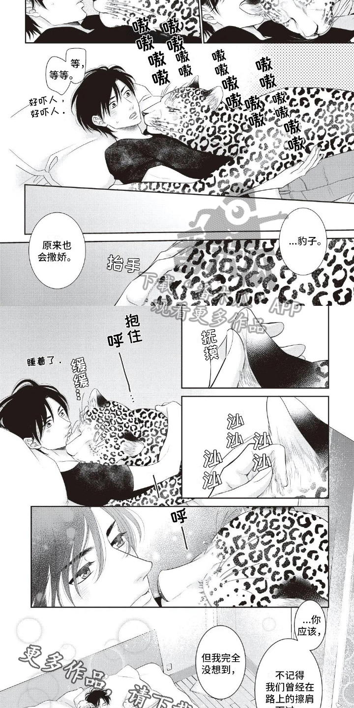 第13章：撒娇5