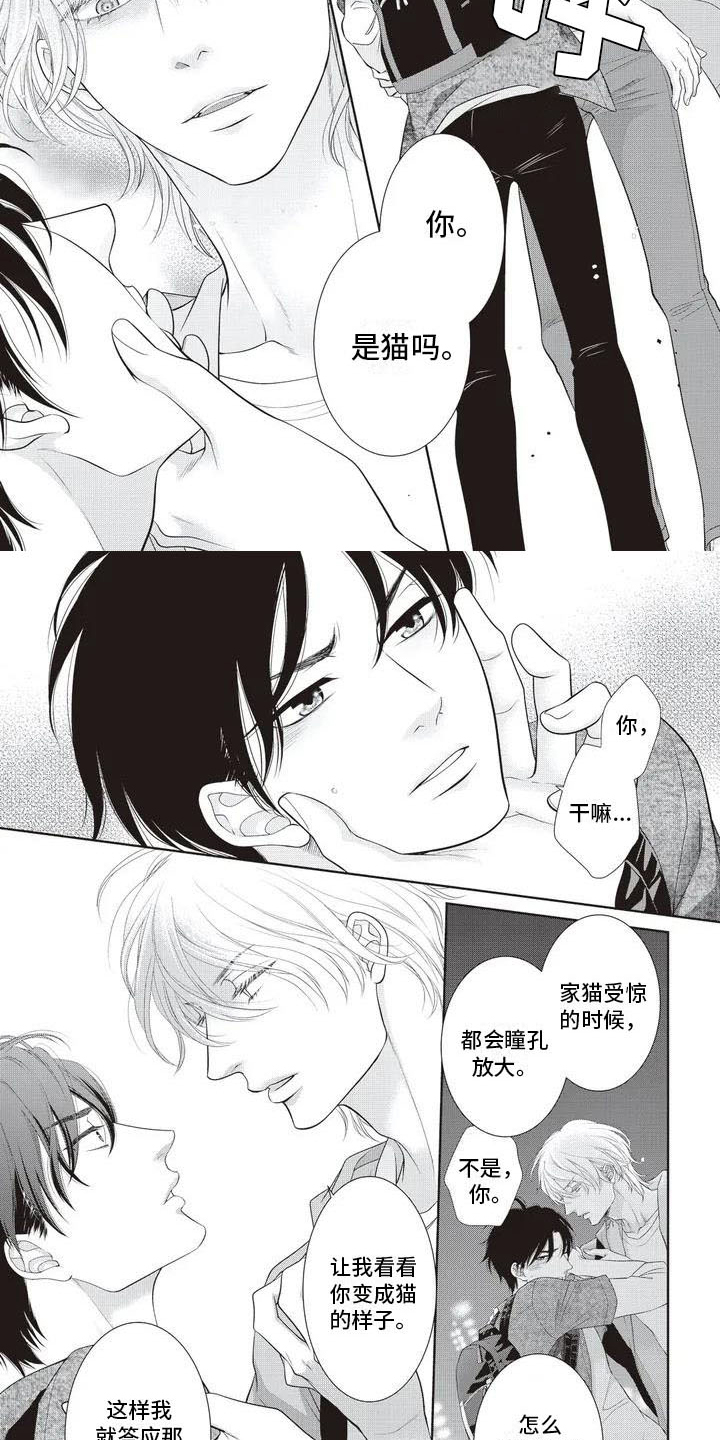 第3章：家猫2
