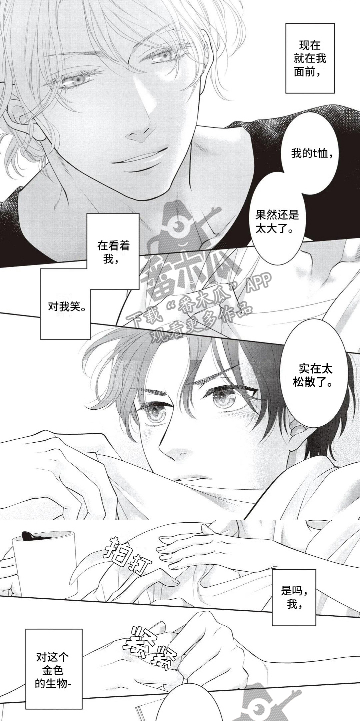 第15章：朋友0