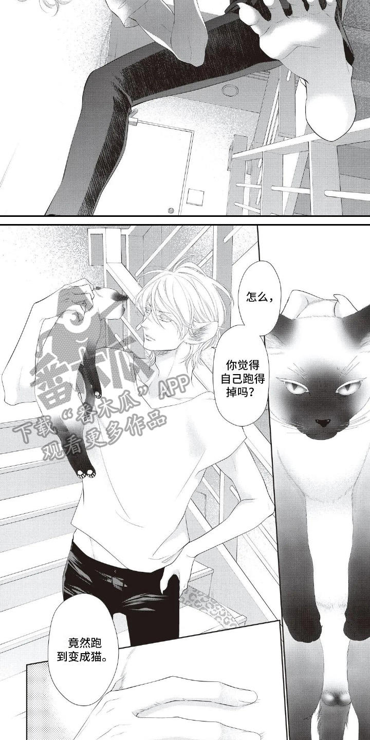 第29章：生气1