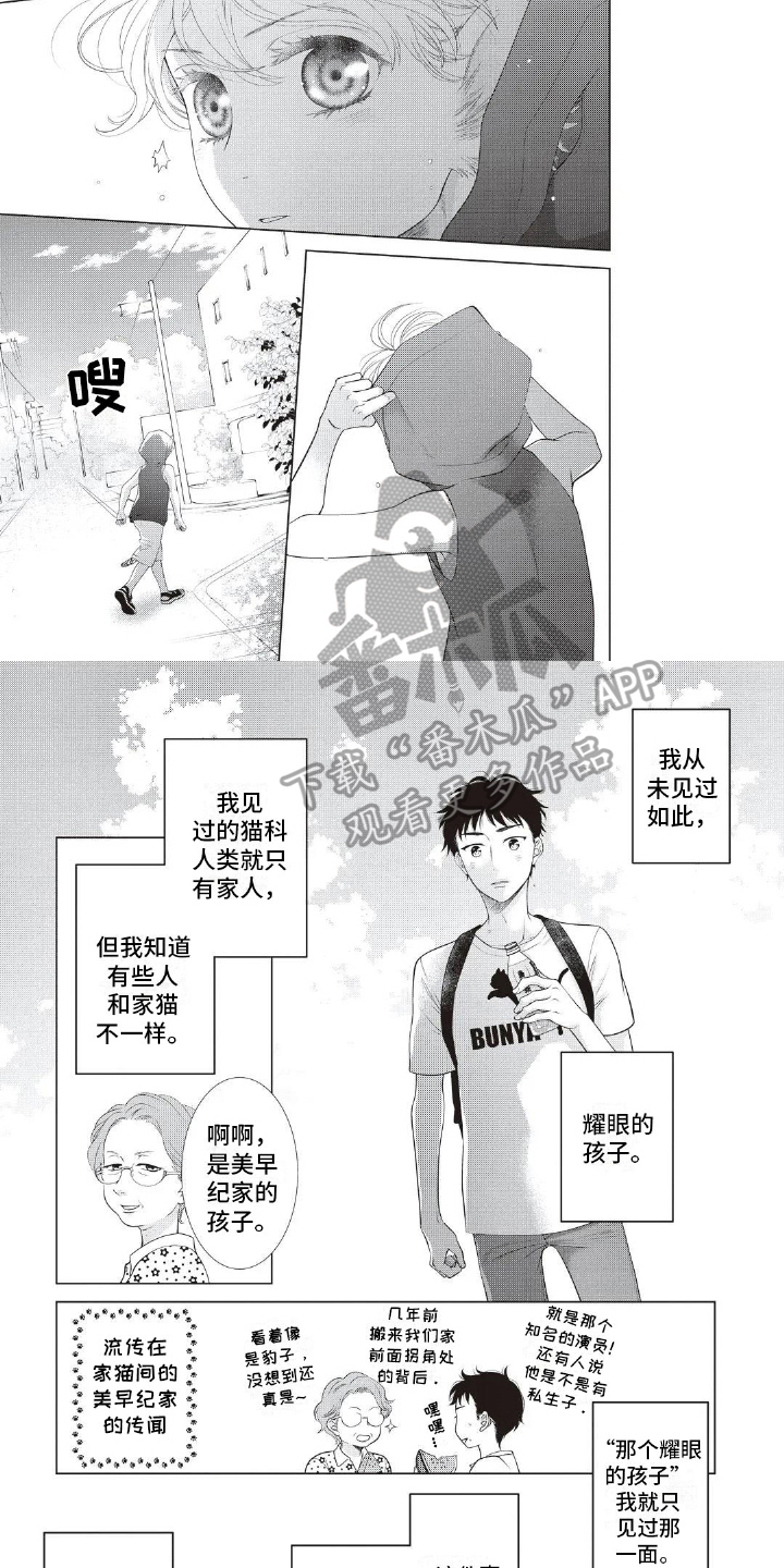 第9章：耀眼5