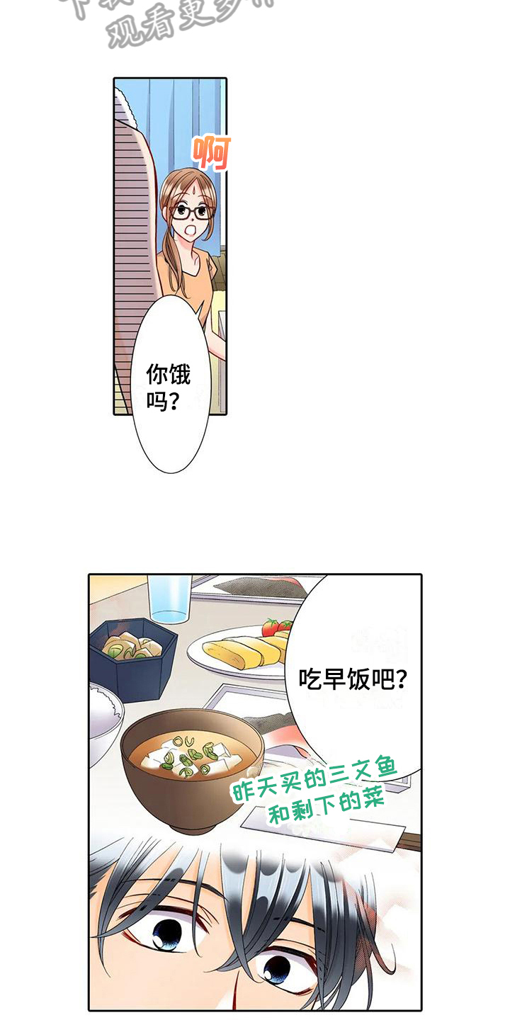 第11章：观察3