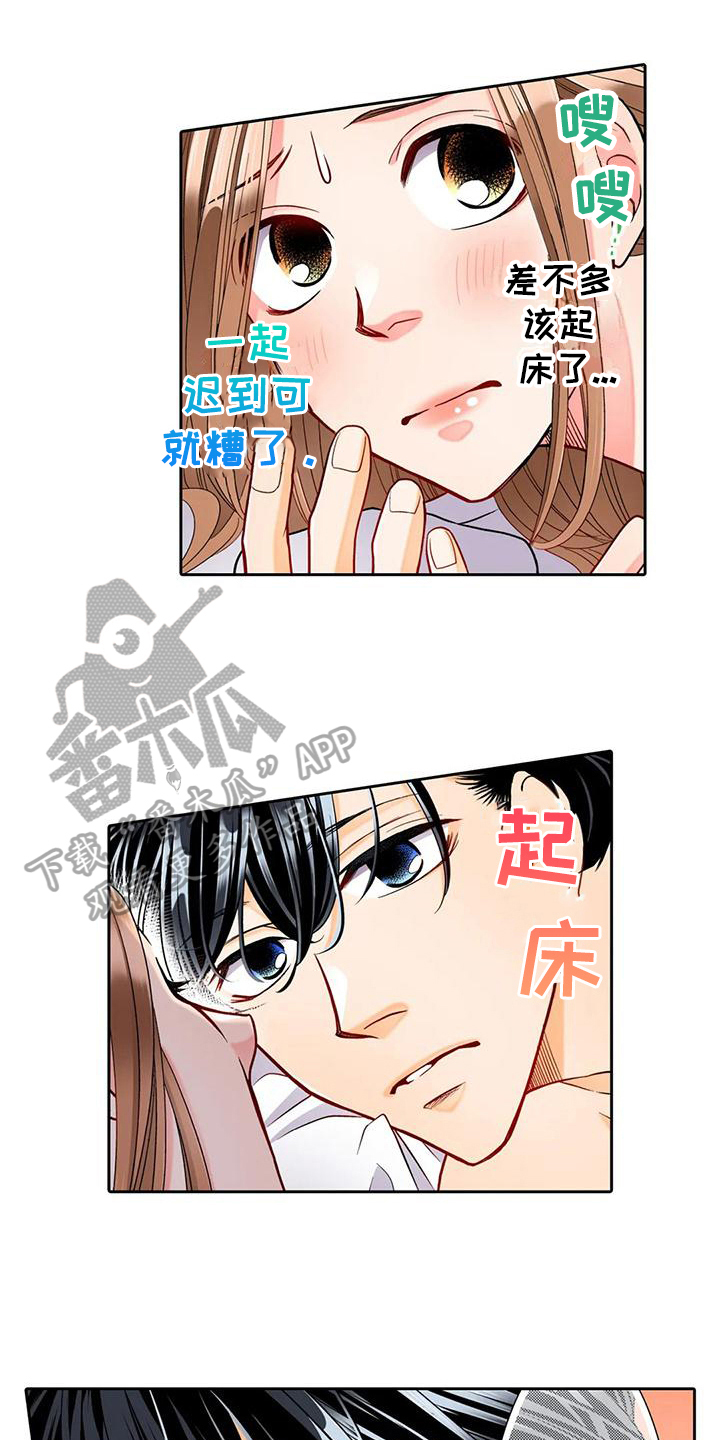 第11章：观察0