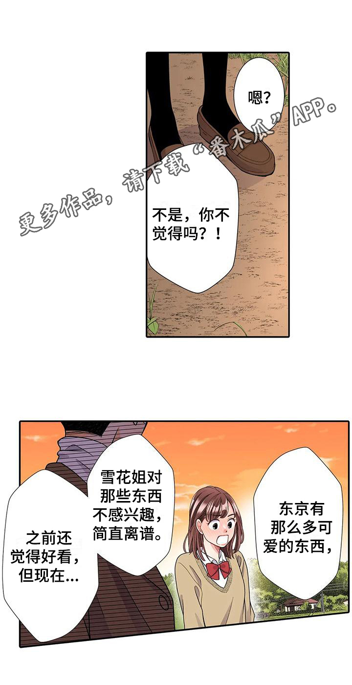 第20章：散步14