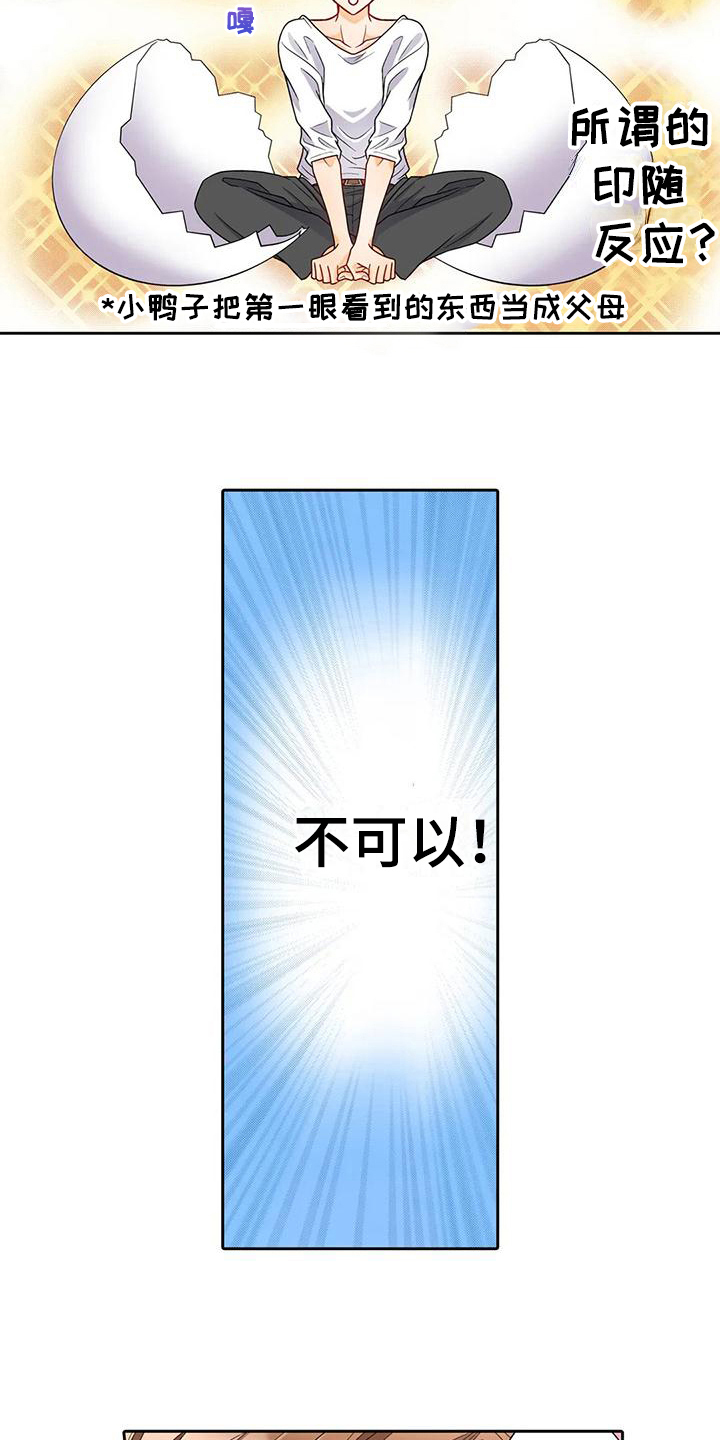 第13章：喜欢13