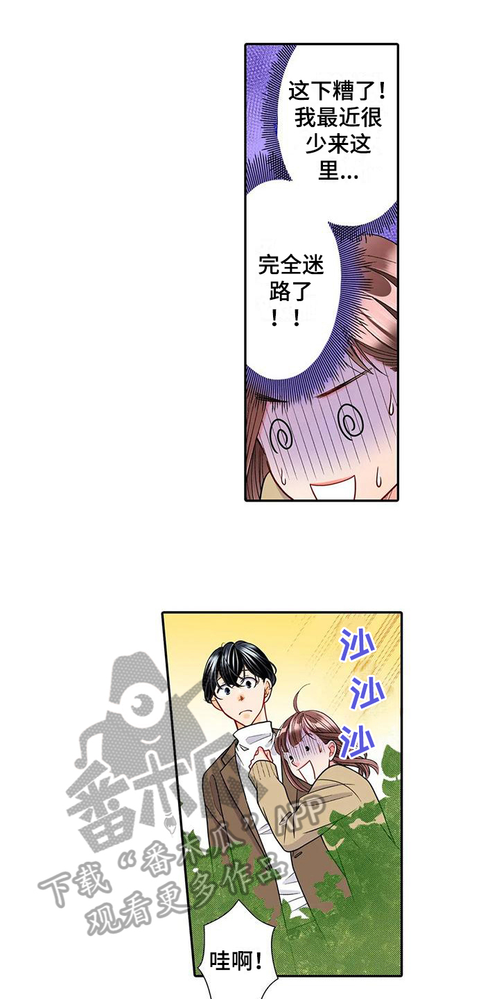 第21章：迷路11
