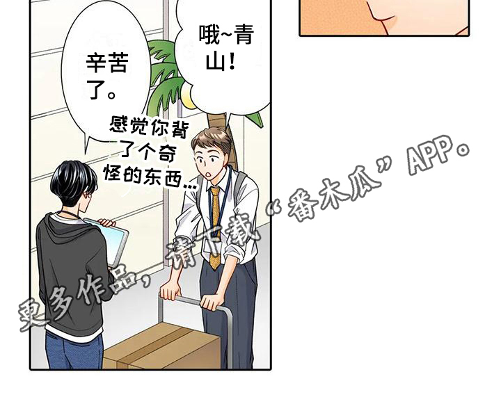 第11章：观察14