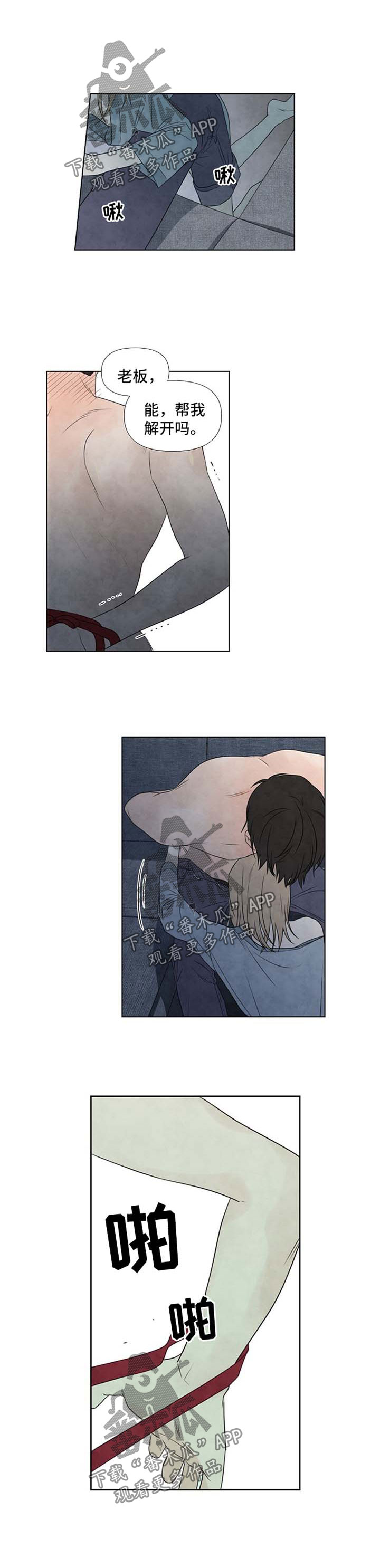 第41章：捆绑2