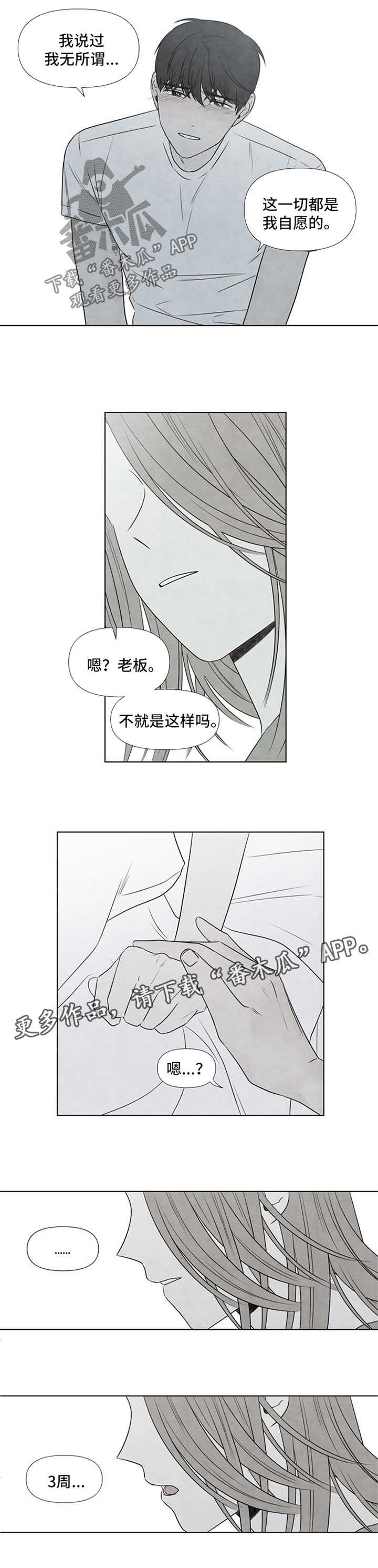 第52章：还剩3周8