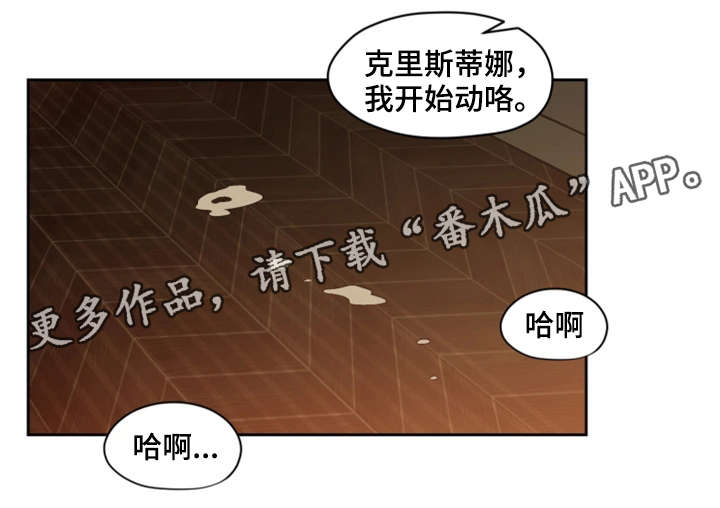 第24章：机会17