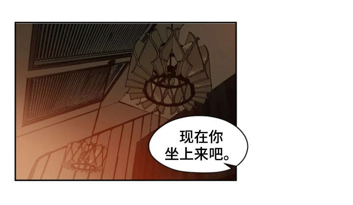 第24章：机会13