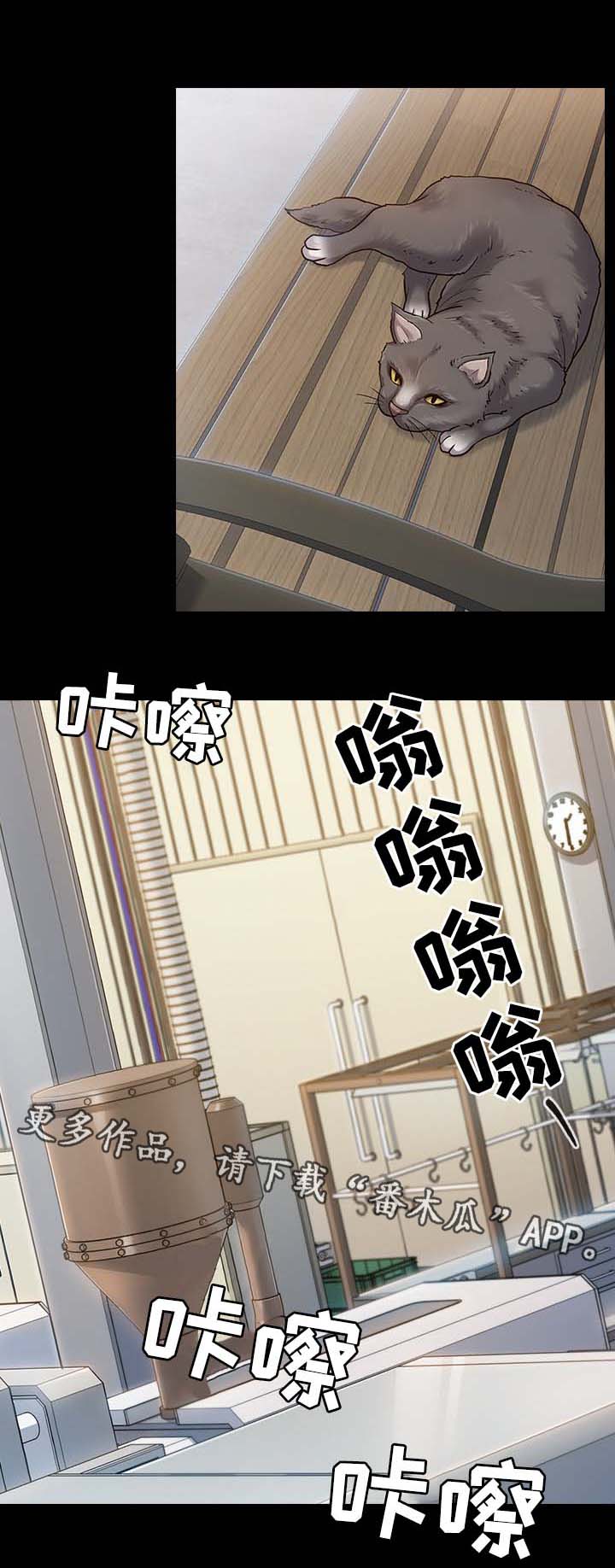 第36章：难得开心的一天0