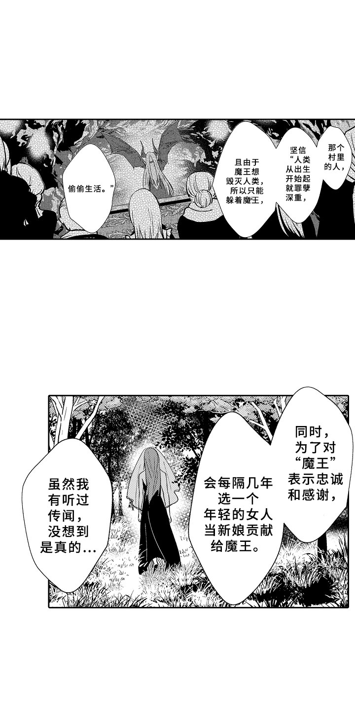 第11章：以爱之名2