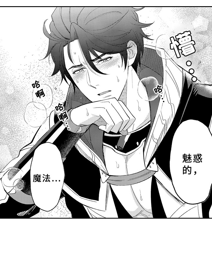 第3章：魅惑魔法23
