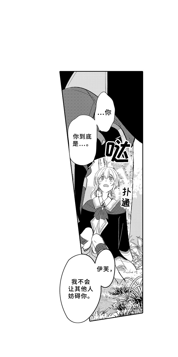 第3章：魅惑魔法19