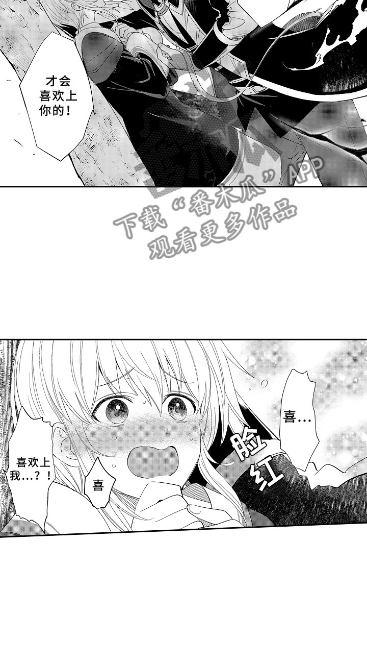 第3章：魅惑魔法13