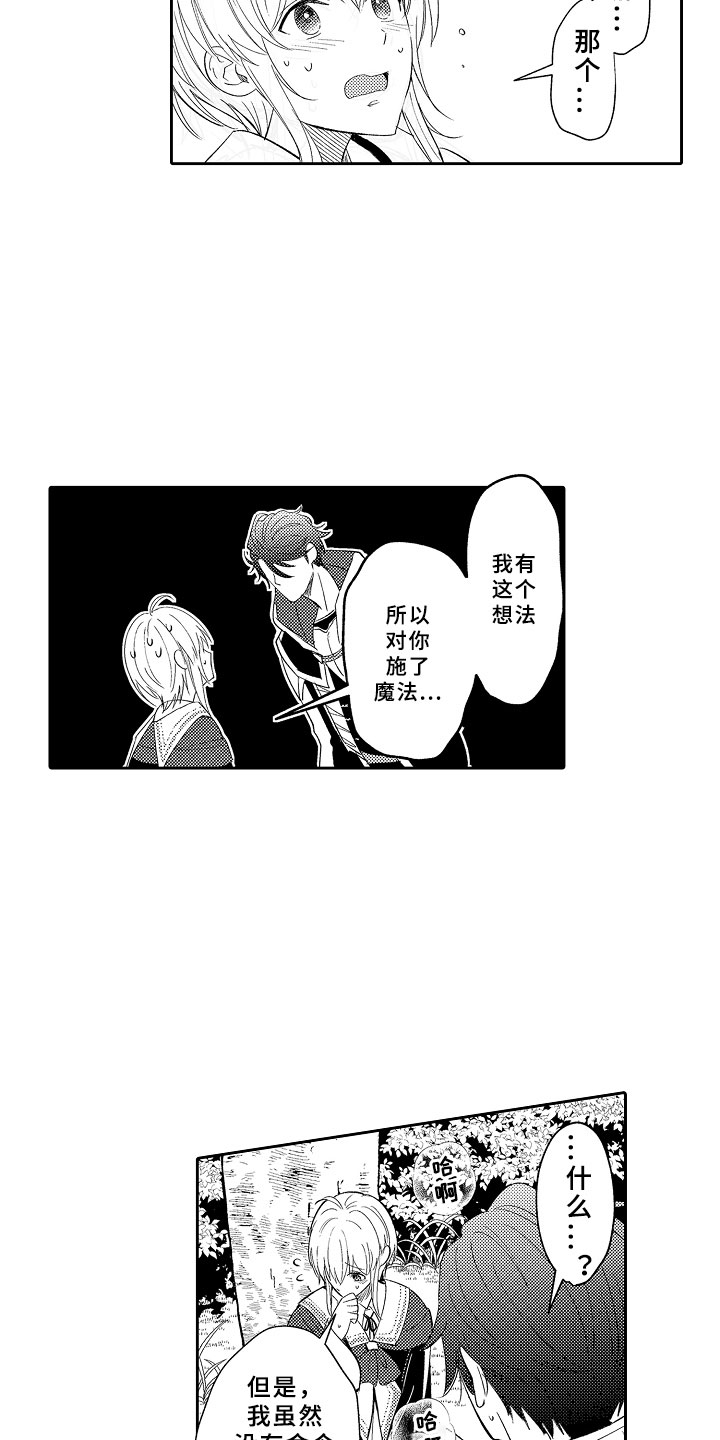 第3章：魅惑魔法21