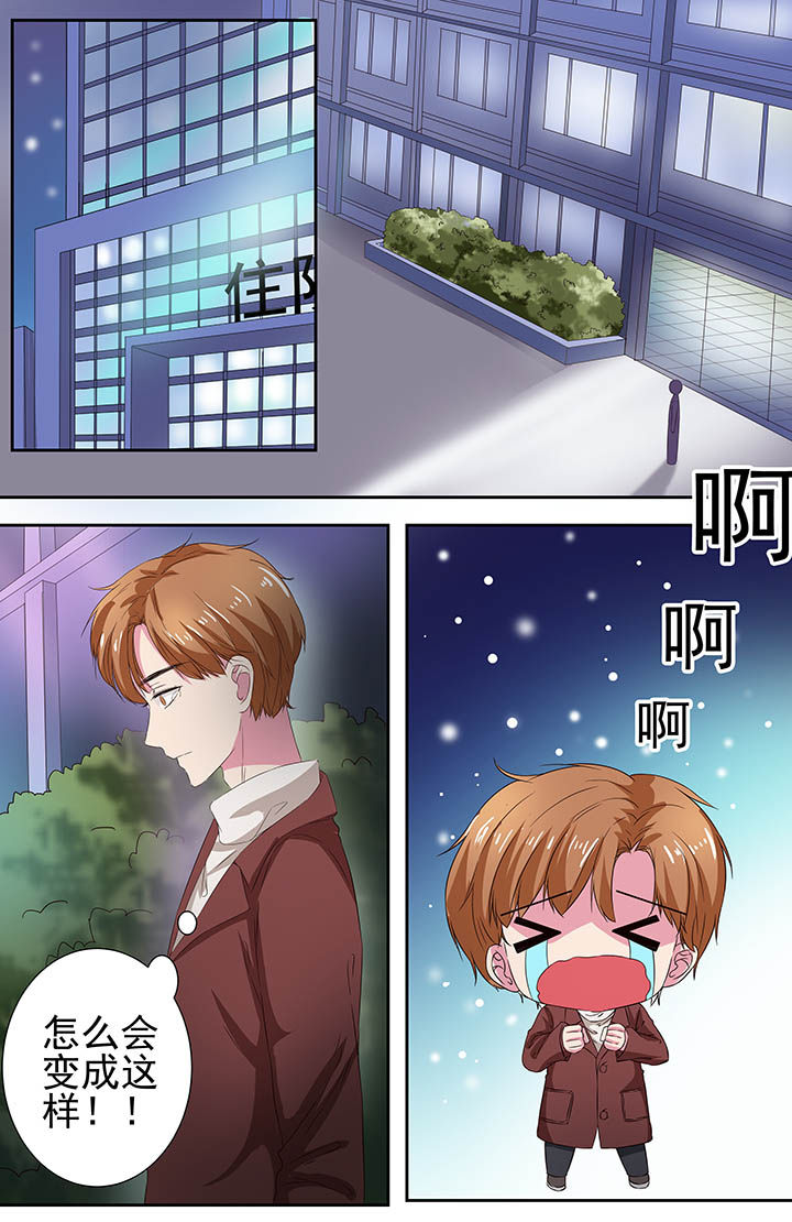 第113章：5