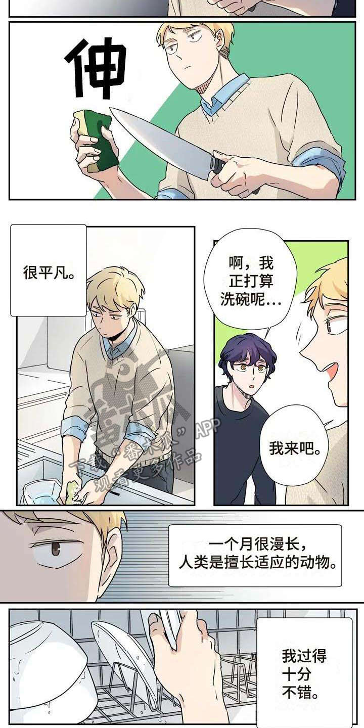 第13章：混淆7