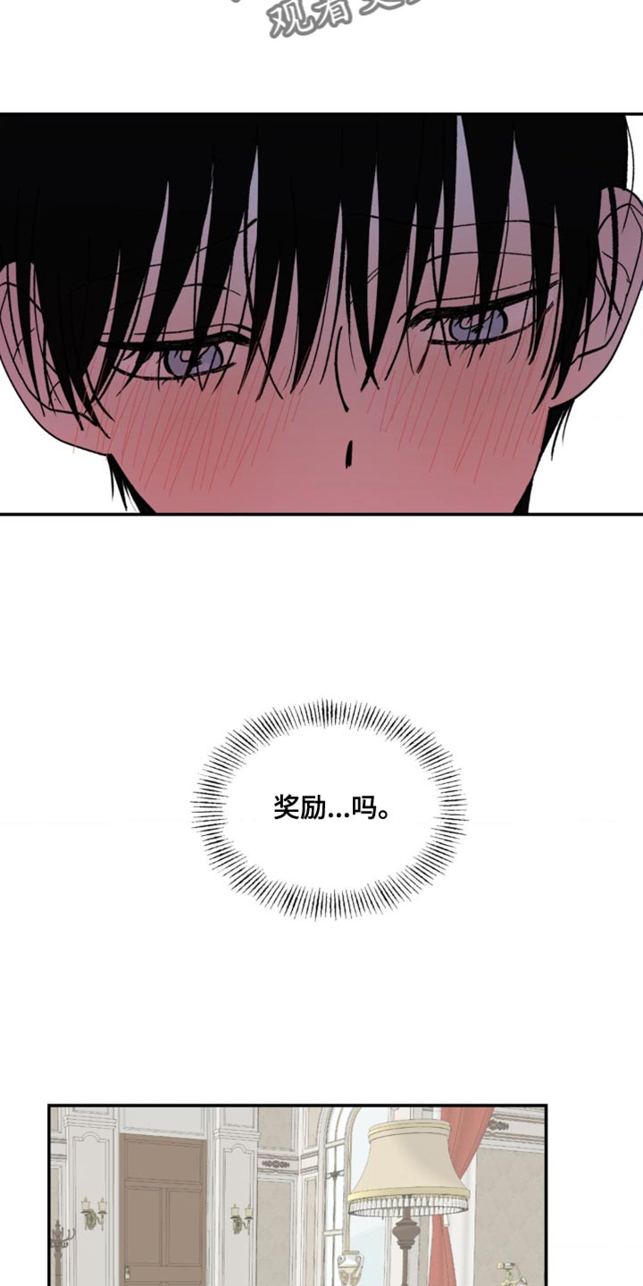 第13章：奖励14