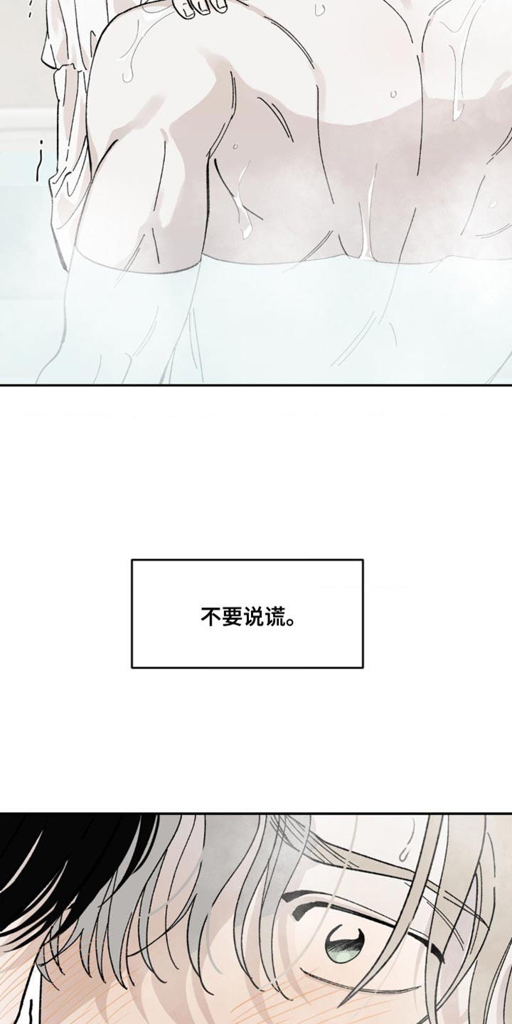 第16章：不要说谎9