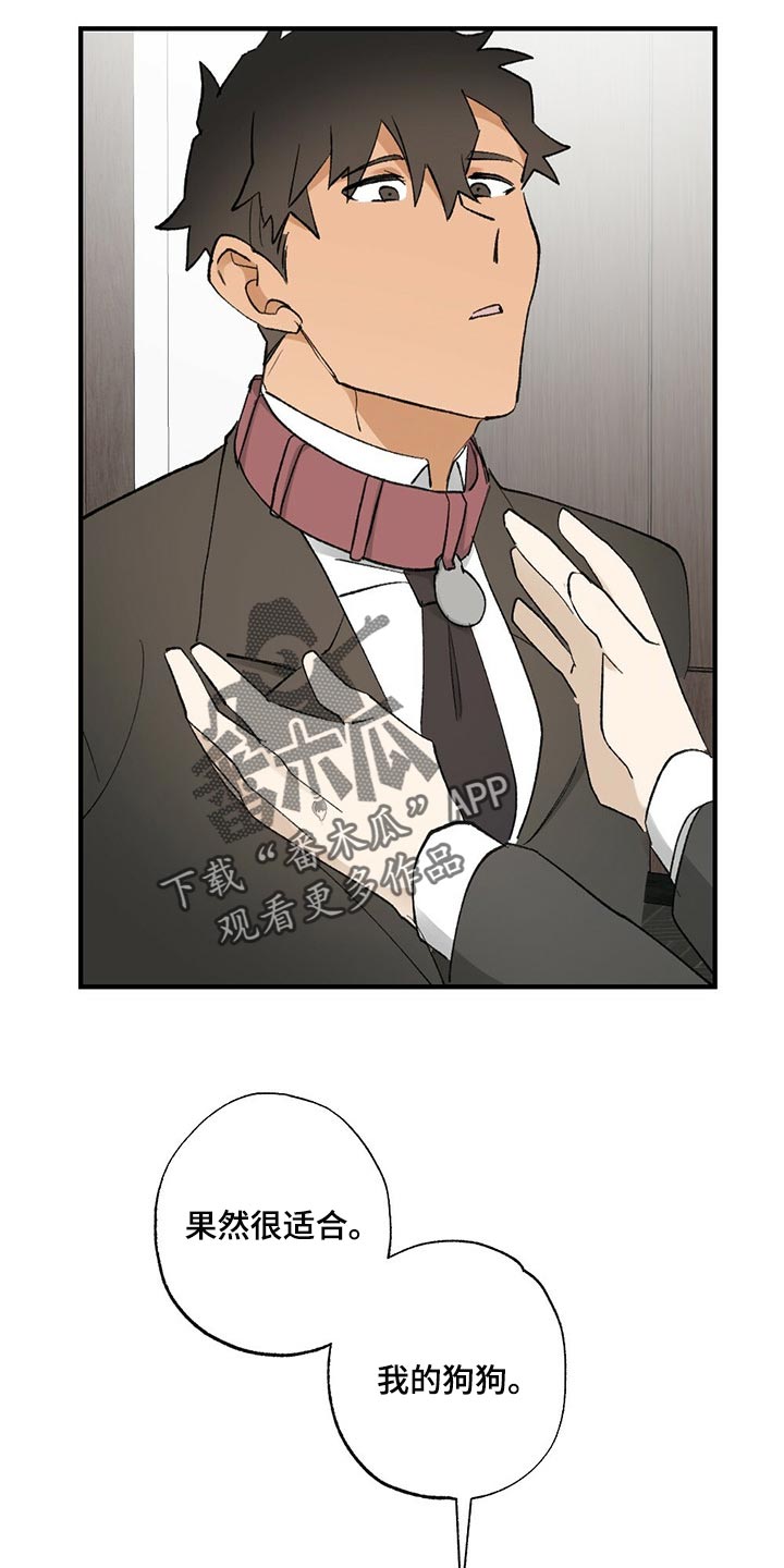 第61章：【故事四】不要逃跑20
