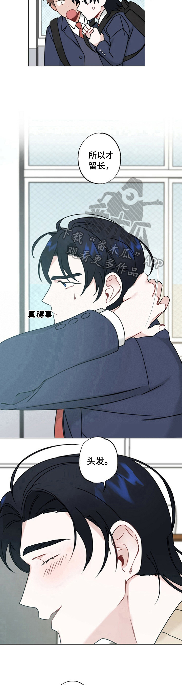 第15章：缘由6