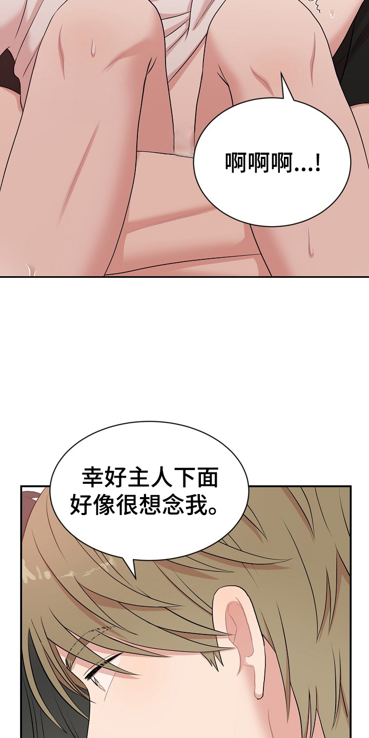 第31章：满意10